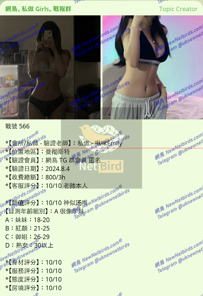 戰號 566 1.png